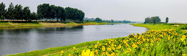 image001.jpg image001.jpg