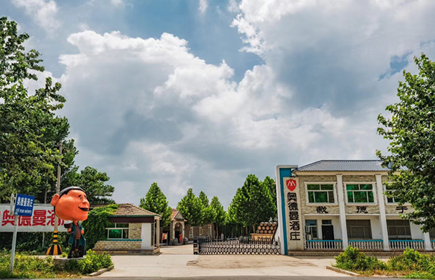 image001.png image001.png