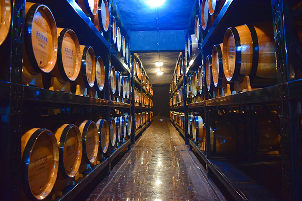 image007.jpg image007.jpg