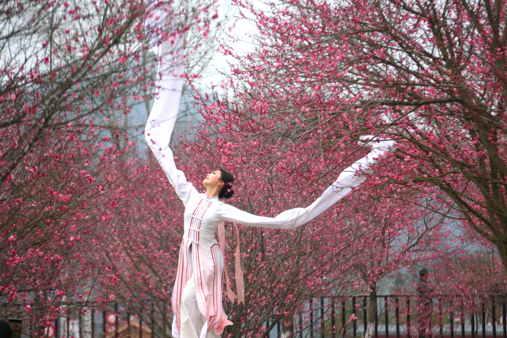 Honeyview_image001.jpg Honeyview_image001.jpg