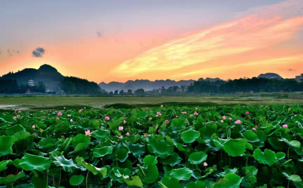 image003 (2).jpg image003 (2).jpg