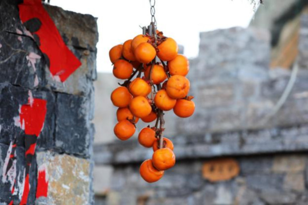 image029 (2).jpg image029 (2).jpg