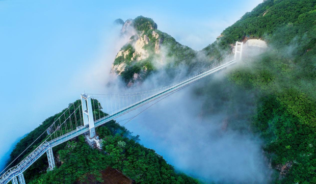 image003.jpg image003.jpg