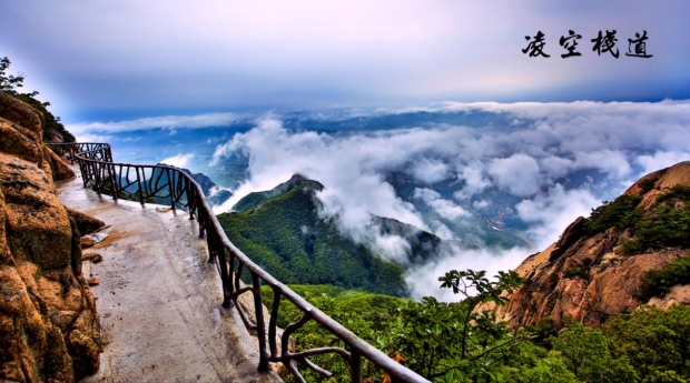 image007.jpg image007.jpg