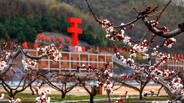 image011 (2).jpg image011 (2).jpg