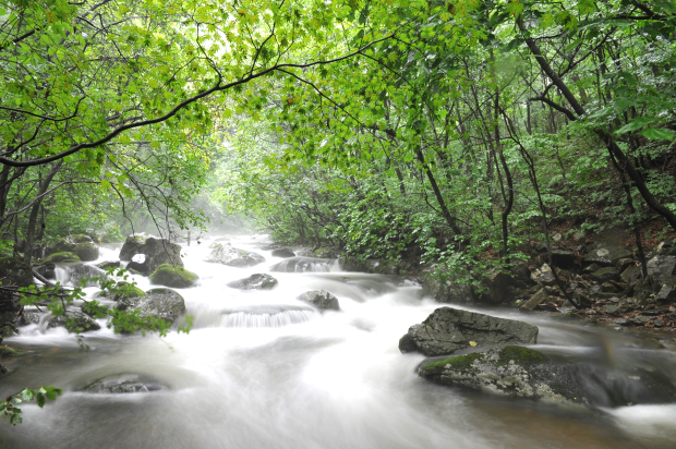 image011 (2).jpg image011 (2).jpg