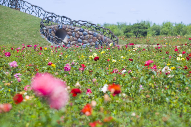 image007 (2).jpg image007 (2).jpg