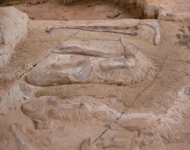 wechat_2025-08-22_173713_253 (2).jpg